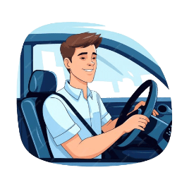Driver Profesional